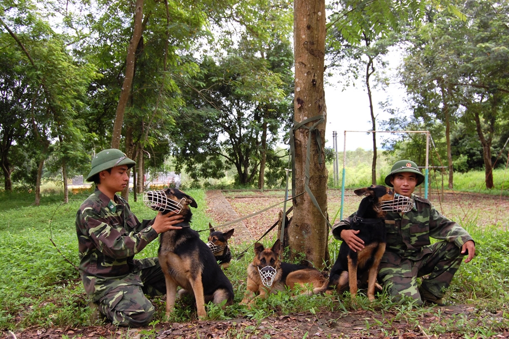 Phút nghỉ ngơi sau giờ huấn luyện.